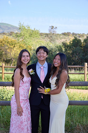 Prom 81