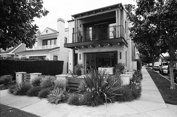 429Marigold11