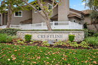 24391 Larchmont