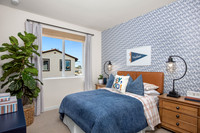 Web