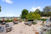 BONITA_CANYON5Web