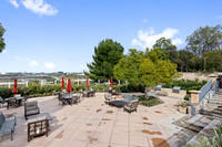 BONITA_CANYON5HiRes