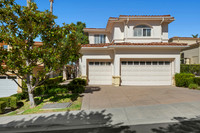 33 Monterey Pine
