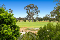149 The Masters Circle