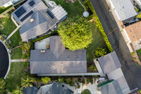 Aerial10Web