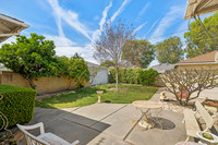 Web