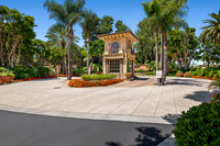 PacificPines5Web