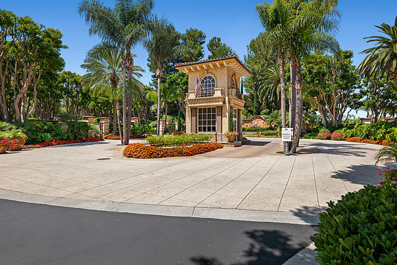 PacificPines5Web