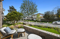 6Web
