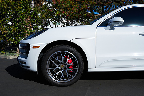 Macan_ 5