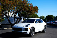 Macan_ 3