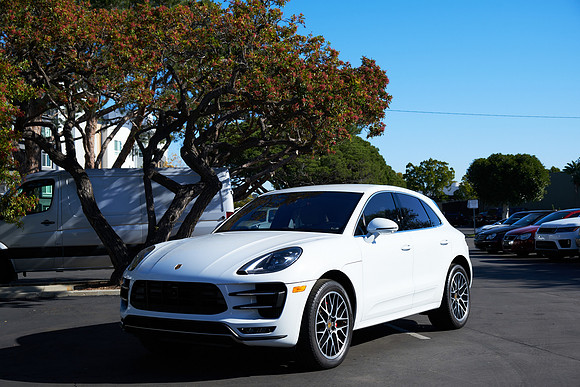 Macan_ 3