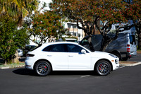 Macan_ 14