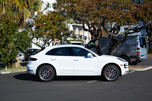 Macan_ 14