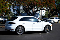 Macan_ 15