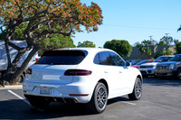 Macan_ 19
