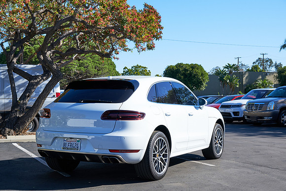 Macan_ 19