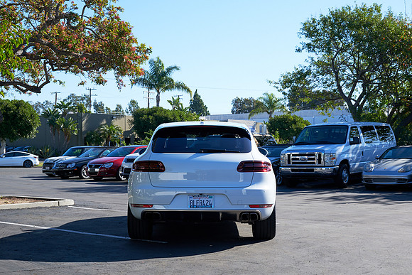 Macan_ 20