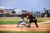 CATS5955