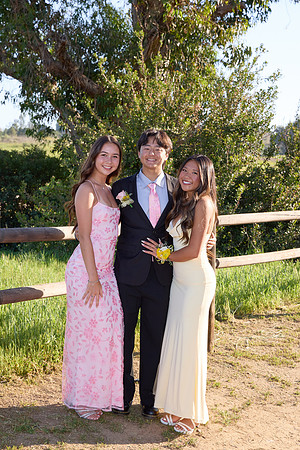 Prom 135
