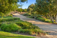 Ladera7Web