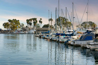 DanaPoint2Web