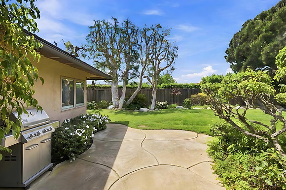 Backyard1_Clean