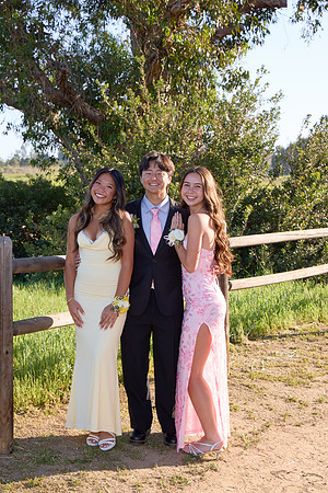 Prom 134