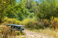 CanyonPark8Web