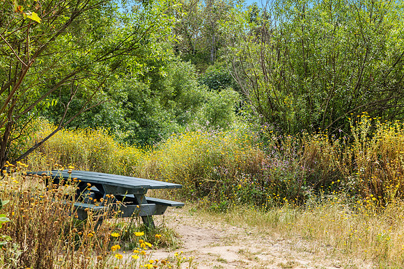 CanyonPark8Web