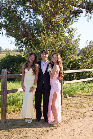 Prom 132