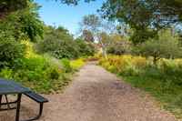 CanyonPark12Web