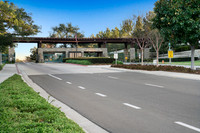DoveCanyon5Web