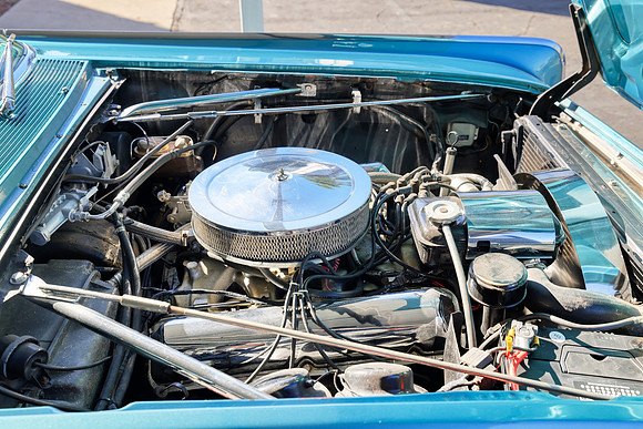 63Penny-Print 1