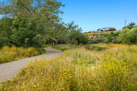 CanyonPark6Web