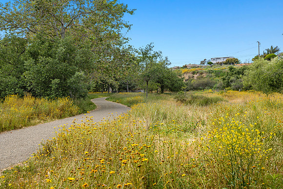 CanyonPark6Web