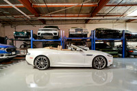 WhiteDBS-web-1