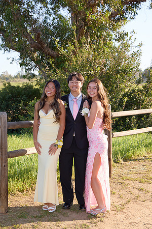 Prom 133