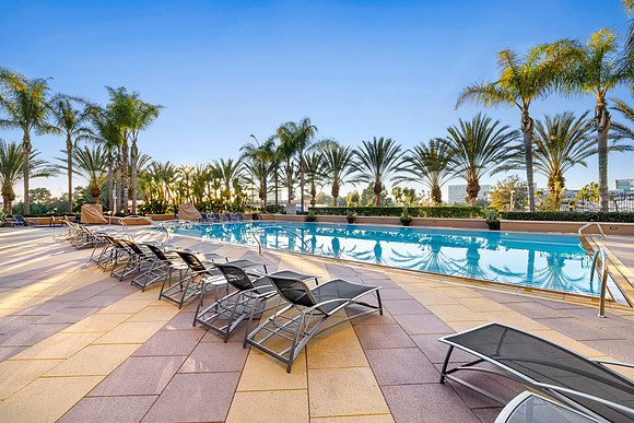 The Plaza Common9Web