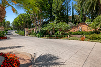 PacificPines6Web