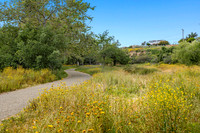 CanyonPark6HiRes