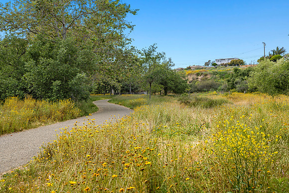 CanyonPark6HiRes