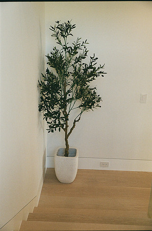 220Event-Film 68