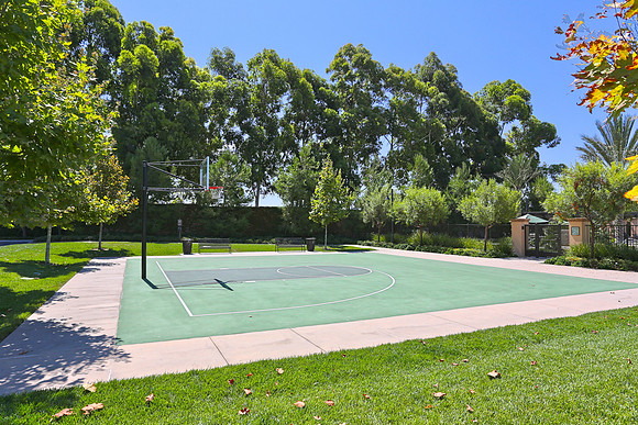 Stonegate_Bball