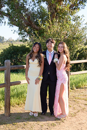 Prom 131