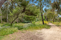 CanyonPark16Web