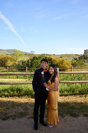 Prom 28