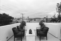 429Marigold19