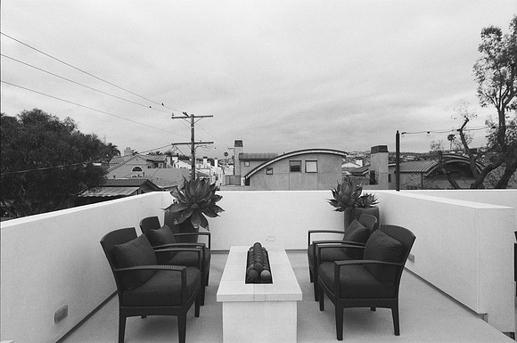 429Marigold19