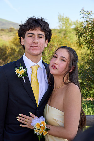 Prom 36